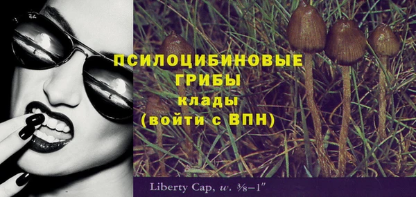 спайс Алзамай