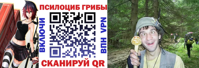 blacksprut зеркало  Бабушкин  Галлюциногенные грибы Magic Shrooms  где найти наркотики 